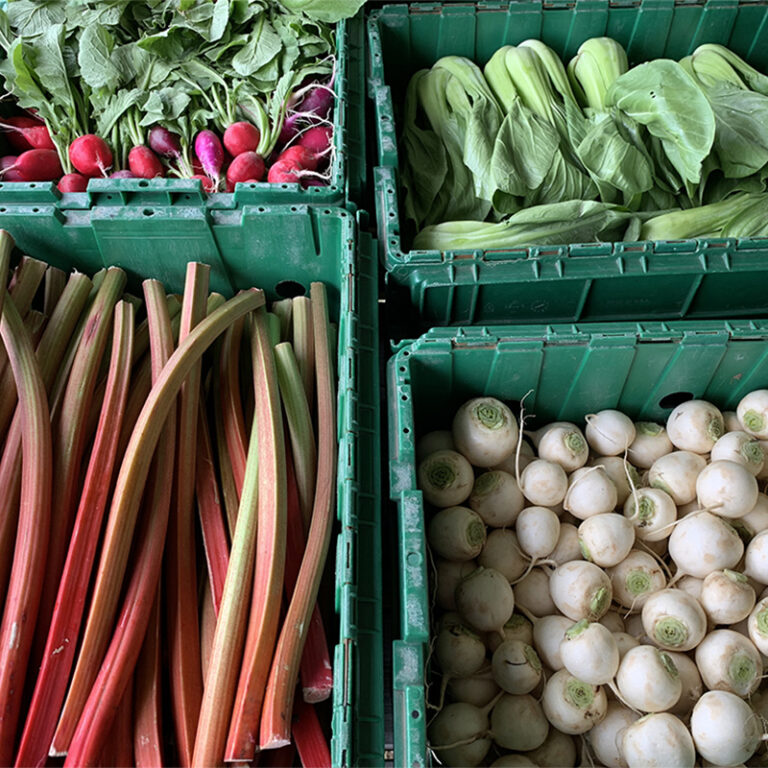 Vari Farm Verrill Farm – Verrill Farm